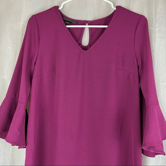 Attention brand shift dress with flounce sleeves - Picture 3 of 10